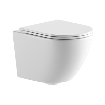 Toilet - Hanging toilet bowl