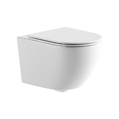 Toilet - Hanging toilet bowl