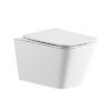 Toilet - Hanging toilet bowl